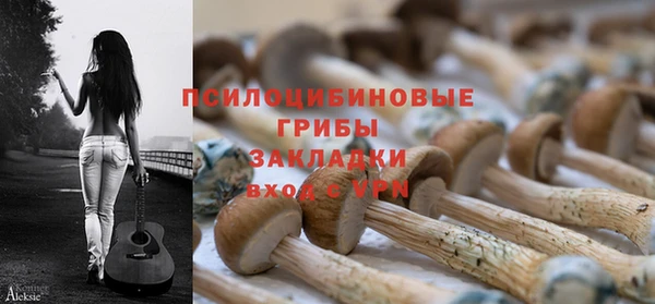МДПВ Елабуга