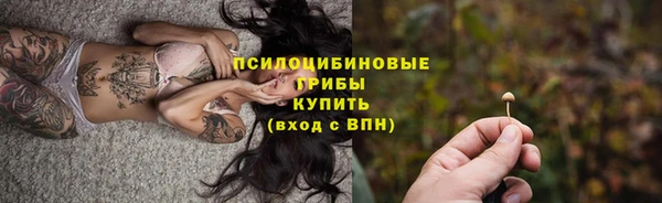 прущие грибы Ельня