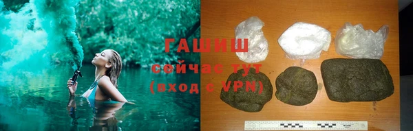 прущие грибы Ельня