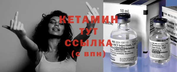 прущие грибы Ельня