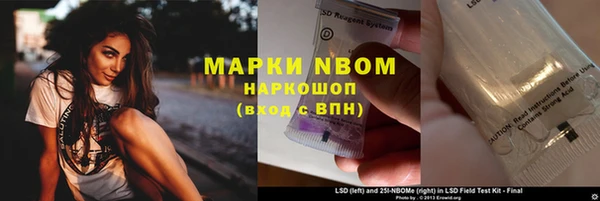 прущие грибы Ельня