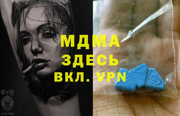 прущие грибы Ельня