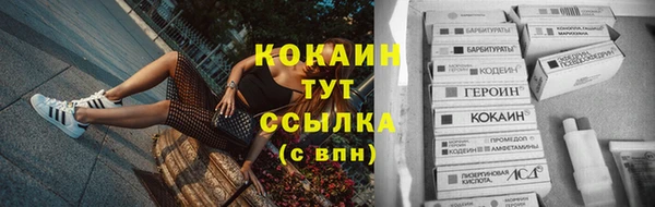 трава Елизово