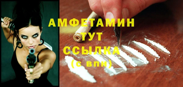прущие грибы Ельня