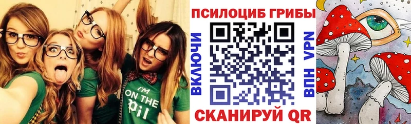 Псилоцибиновые грибы прущие грибы  Гаджиево 
